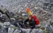 Doesen1995_099