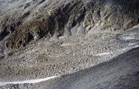 Doesen1997_37