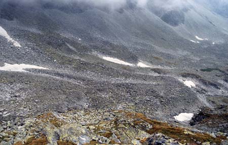 Doesen1997_41