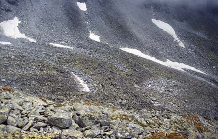 Doesen1997_42