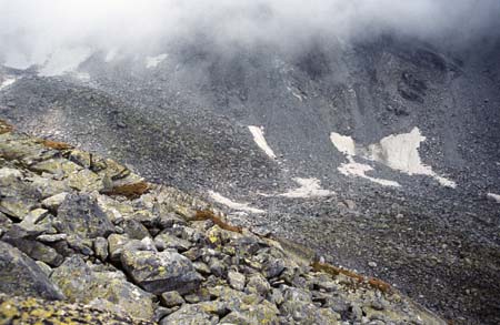 Doesen1997_43