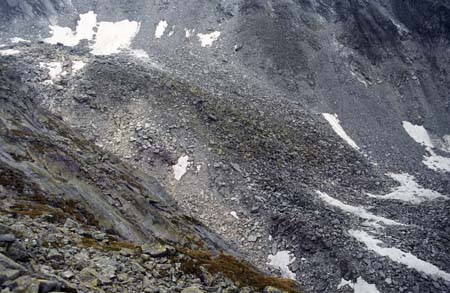 Doesen1997_47