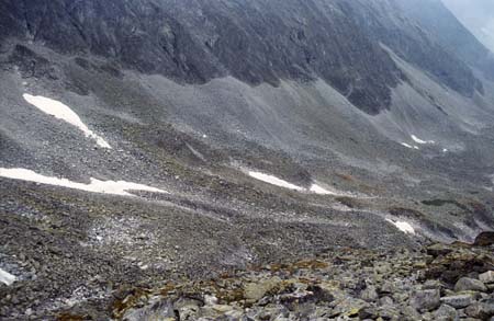 Doesen1997_48