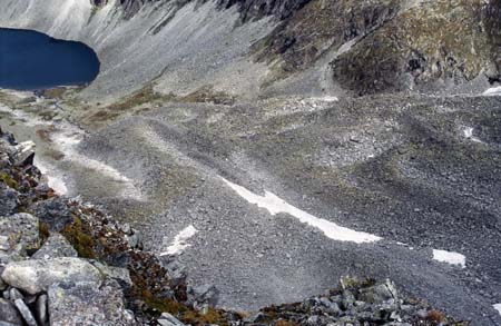 Doesen1997_50