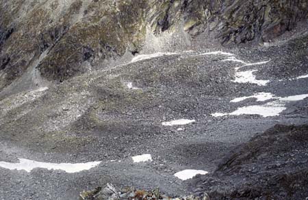 Doesen1997_51