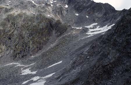 Doesen1997_52