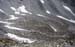 Doesen1997_46