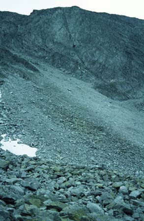 Doesen_1998_31