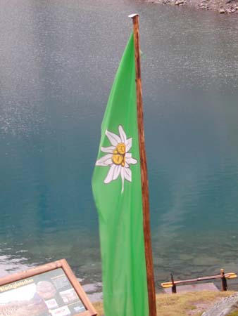 Doesen2004_29