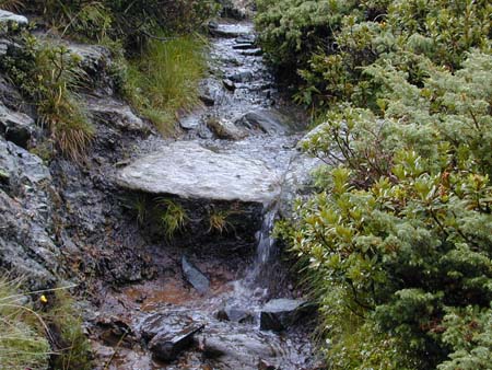 Doesen2005_044