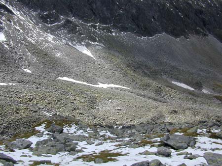 Doesen2005_083