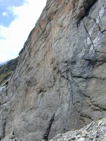 Doesen2005_106