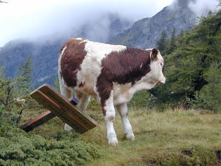Doesen2005_160
