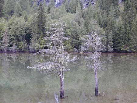 Doesen2005_166