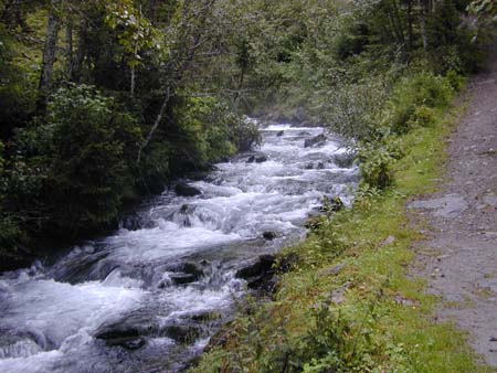 Doesen2005_170