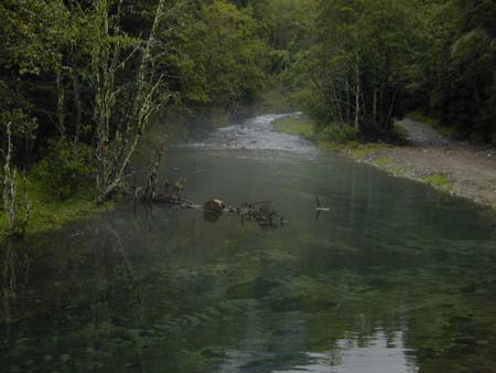 Doesen2005_172