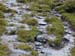Doesen2005_043