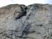 Doesen2005_097