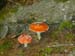 Doesen2005_167