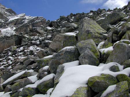 Doesen2006_049