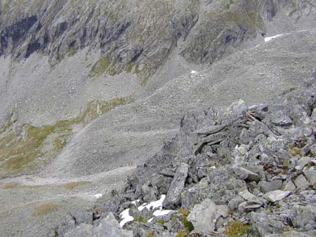 Doesen2006_065