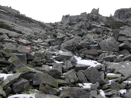 Doesen2006_068
