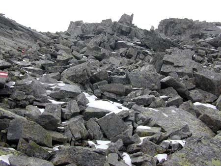 Doesen2006_069