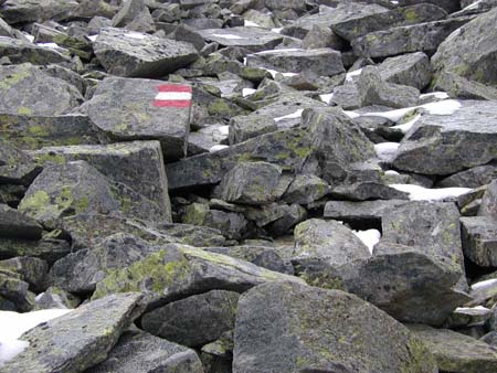Doesen2006_070