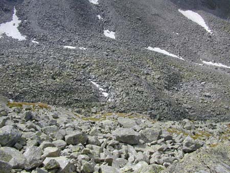 Doesen2006_089