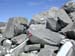 Doesen2006_052