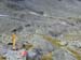 Doesen2006_078