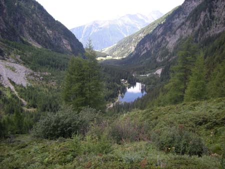 Doesen2008_03