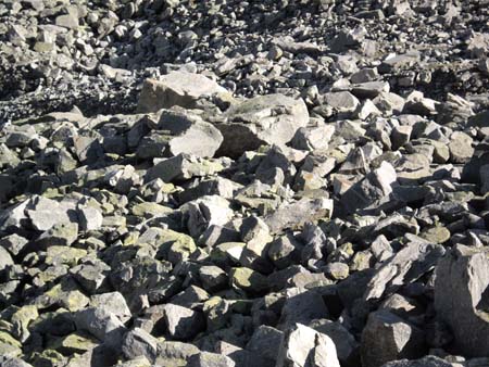 Doesen2009_58