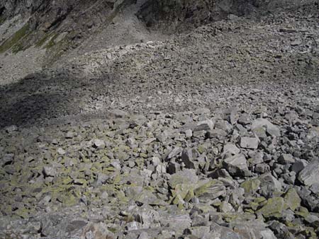 Doesen2009_71