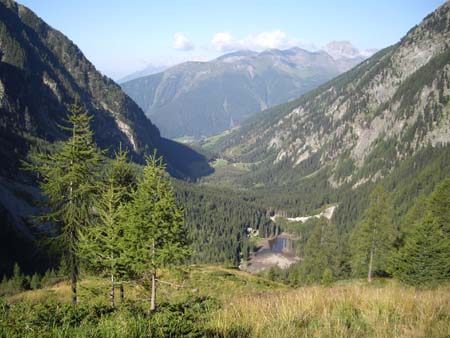 Doesen2009_83