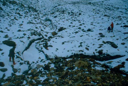 Schober_1984_003