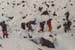 Goessnitz1996_105