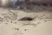 Goessnitz1996_110