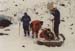 Goessnitz1996_121