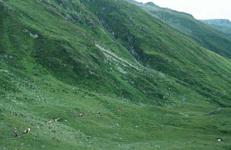 Goessnitz1998_73