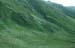 Goessnitz1998_73