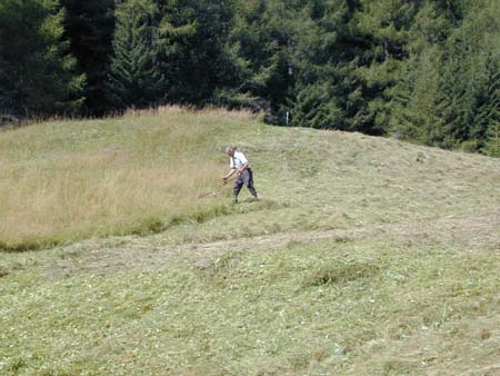 Goessnitz2002_107