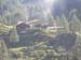 Goessnitz2002_100