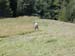 Goessnitz2002_107