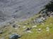 Goessnitz2003_094