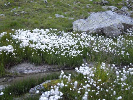 Goessnitz2009_090