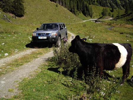 Goessnitz2009_145