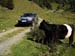 Goessnitz2009_145