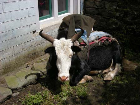 Nepal2008_202