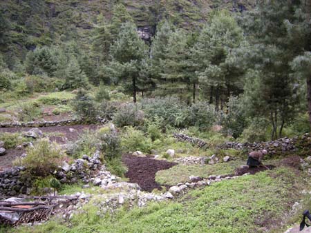Nepal2008_216